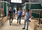 В Кожевниковском районе провели мониторинг фермерских хозяйств